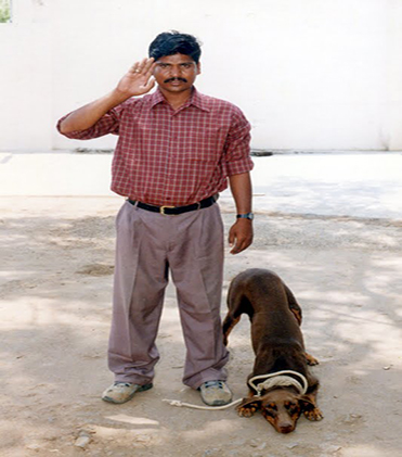 dog