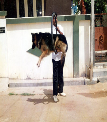 dog